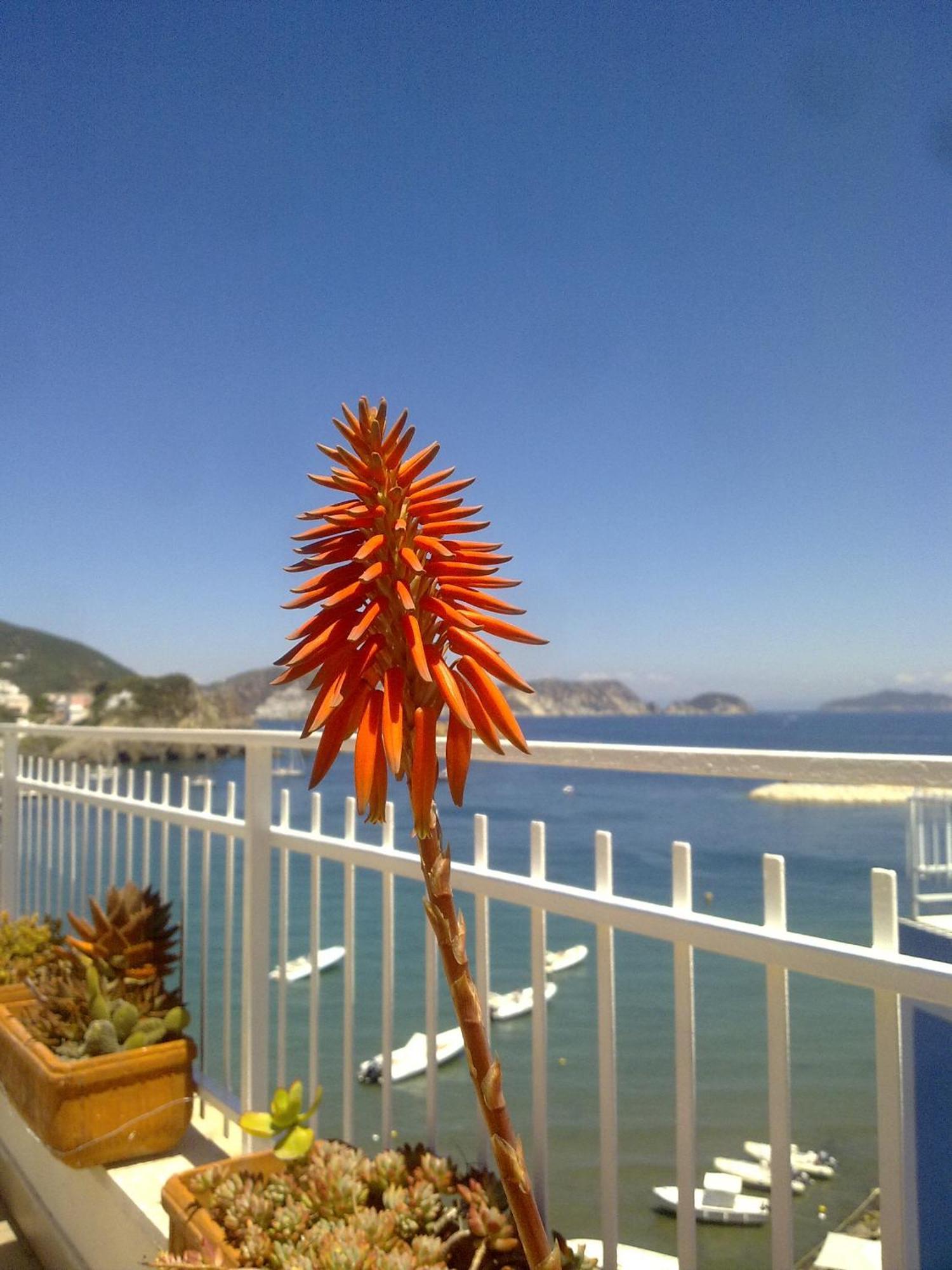 Hotel La Baia Понца Екстериор снимка